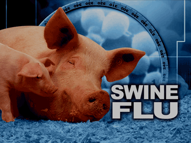 19 cases of Swine flu: WB