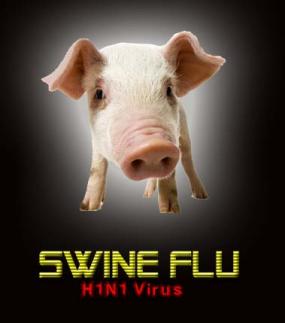 Swine flu deaths India's toll climbs to 1,385