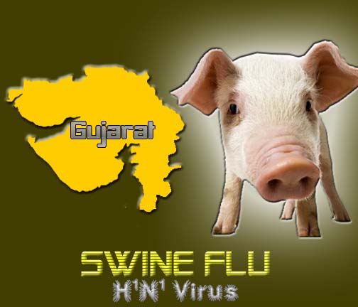 3 more dies of H1N1 in Gujarat, toll reaches 23 