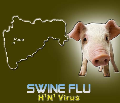 Swine flu