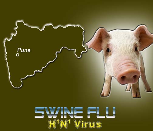 Swine flu