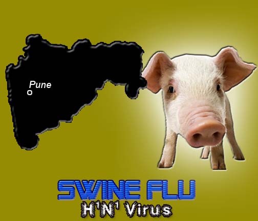 Swine-Flu