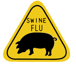 75 new swine flu cases in Rajasthan