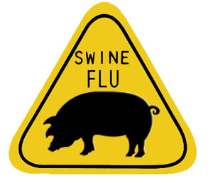 France begins mass swine-flu vaccinations