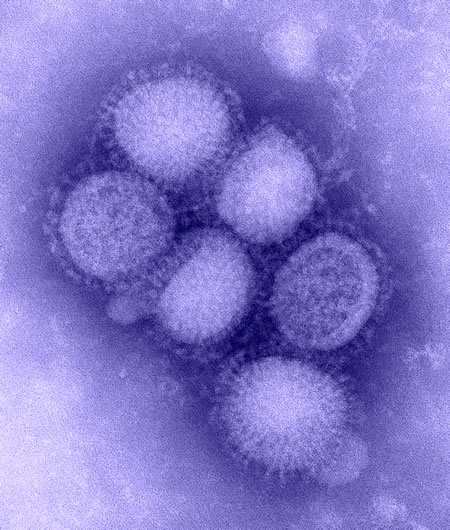 Two Die Of Swine Flu In Kerala
