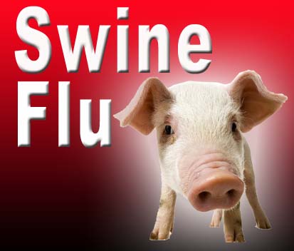 China reports second suspected swine flu case 