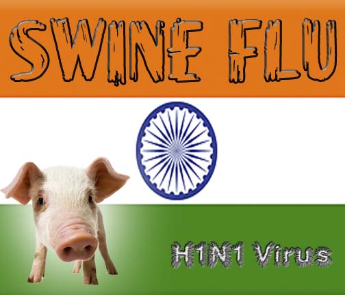 Azad: H1N1 vaccine will be launched in India by April 2010 