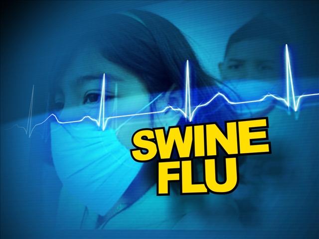 Swine flu danger appears to be ebbing