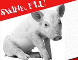 90 new swine flu cases