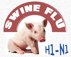Most swine flu deaths in 14 to 44 age group