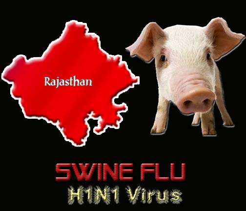 H1N1 in Rajasthan