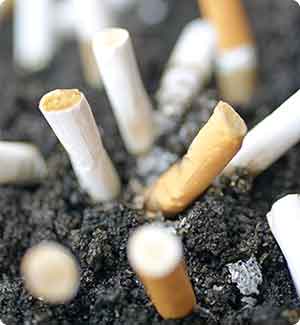 Tobacco To Kill 6 Million People Annually By 2010