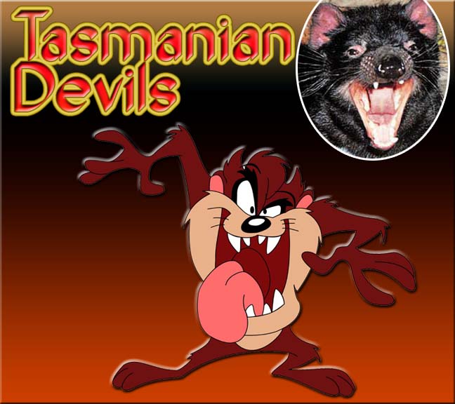 Tasmanian devils