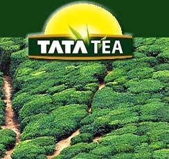 Tata Tea net profit up by 146.11%