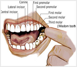 Exposure to alkaline substances can damage teeth