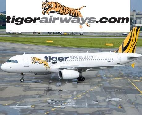 Tiger Airways | TopNews