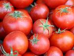 Tomato Derivative To Fight Prostate Cancer