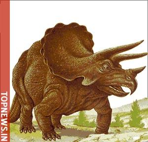 playskool kota my triceratops dinosaur pdf instruction manual playskool kota my triceratops dinosaur pdf instruction manual