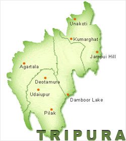 Seven more Tripura tribal separatists surrender
