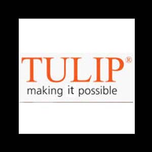Tulip Telecom gets R-APDRP Projects