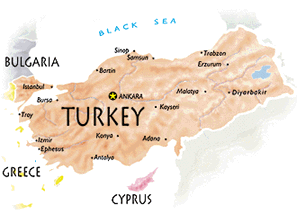 Raids net 30 al-Qaeda suspects in Turkey 