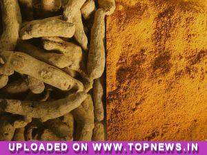 Commodity Trading Tips for Turmeric by KediaCommodity