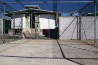 US transfers two Guantanamo detainees to Belgium, Kuwait 
