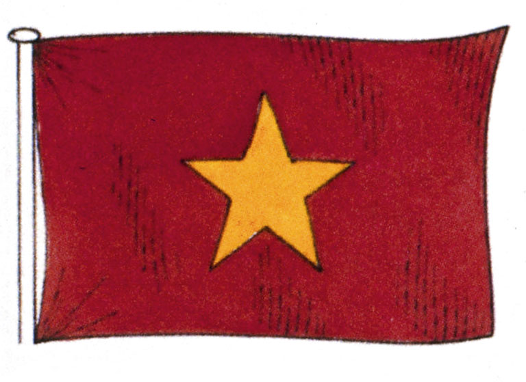 Vietnam Flag