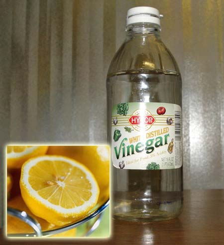 Vinegar