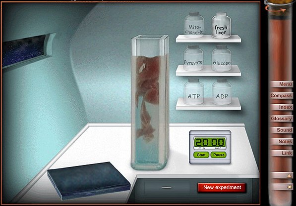 Virtual laboratory 
