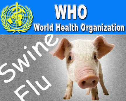 Global swine flu toll rises to over 5,700: WHO