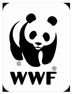 Create green economy in five years, avoid catastrophe: WWF