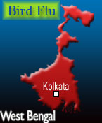 Bird flu hits poultry business in West Bengal