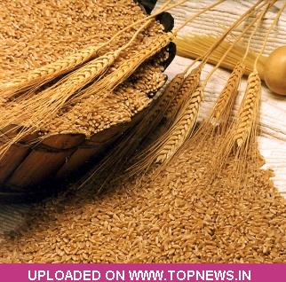 Wheat