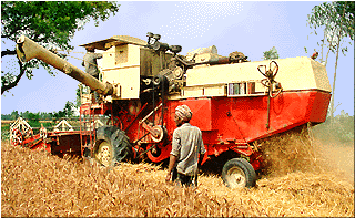 Angry Chandigarh farmers allege mismanagement of wheat procurement