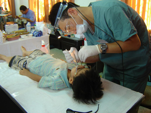 World Health Programs 