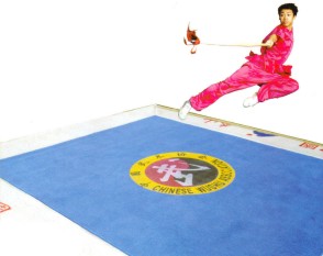 World Wushu Championship