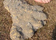 Scientists discover ‘yeti footprints’ in Nepal
