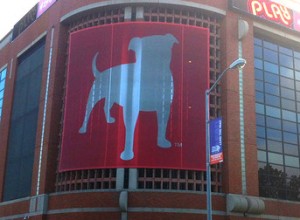 Zynga chief Pincus to pocket just $1 as salary 