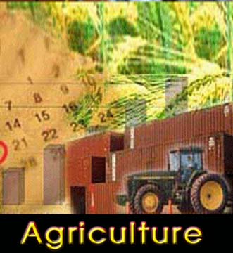 agriculture