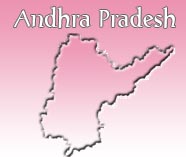 7,600 couples marry at Andhra Pradesh’s famous Tirumala temple