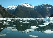 Arctic winter sea ice sees great decline in its depth 