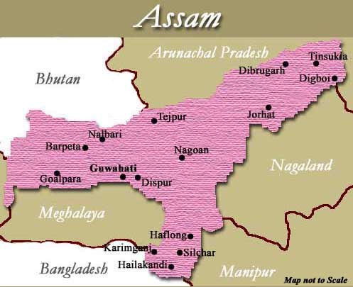 Assam Police leadership collapsed during Oct 30 blasts: Report