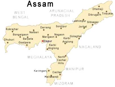 Poachers kill two rhinos in Kaziranga