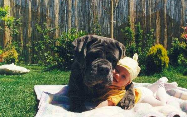 Female dog rescues abandoned baby, takes child with her puppies