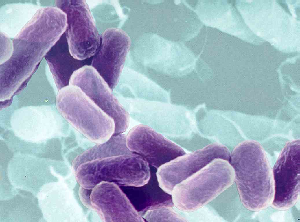 How bacteria beat the blues