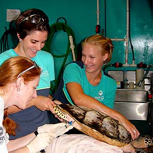 what training is required for fish and wildlife biologist
