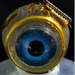 bionic-eye