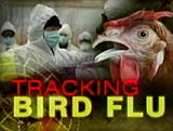13 People Hospitalized With Bird Flu Symptoms