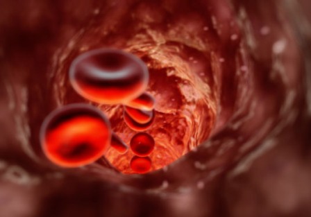 Circulating blood cells can form bone outside the normal skeleton